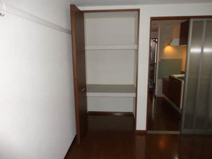 ブッシュ・クローバー 205号-13