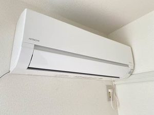 ブッシュ・クローバー 206号-12