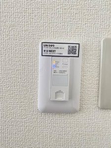 ブッシュ・クローバー 206号-13