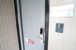 Ｌｉｌｙ　ｏｆ　ｔｈｅ　ｖａｌｌｅｙ 101号-2