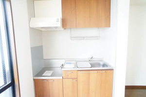 Ｌｉｌｙ　ｏｆ　ｔｈｅ　ｖａｌｌｅｙ 101号-5