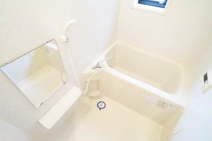 Ｌｉｌｙ　ｏｆ　ｔｈｅ　ｖａｌｌｅｙ 101号-9