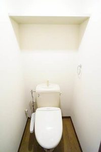 Ｌｉｌｙ　ｏｆ　ｔｈｅ　ｖａｌｌｅｙ 101号-10