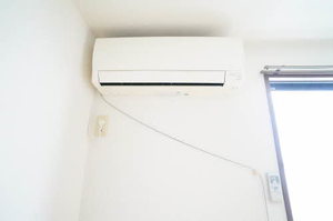 Ｌｉｌｙ　ｏｆ　ｔｈｅ　ｖａｌｌｅｙ 101号-14