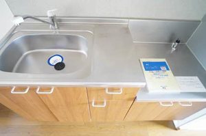 タートルヒルズＢ 205号-4