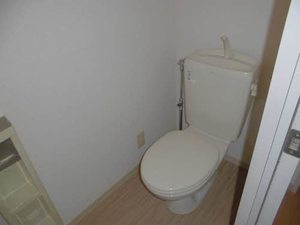 ルミエールコートⅣ 101号-5