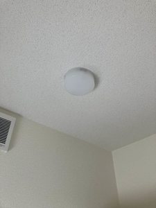 ルピナスＹ 102号-8