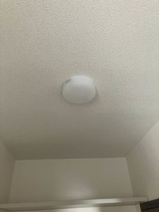 ルピナスＹ 102号-9