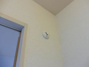 スプリング杉山 201号-14