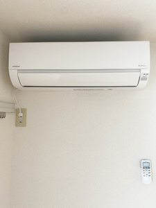 ヴィエナ 206号-12