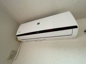 アルカディアⅢ 202号-10