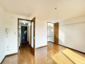 ラフォーレ・N・C 203号-3