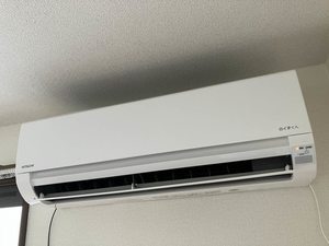 ラ・カパンナ 101号-11