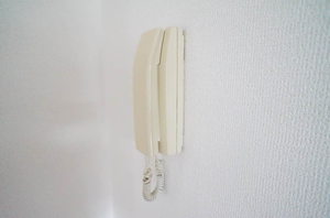 ラ・カパンナ 101号-14