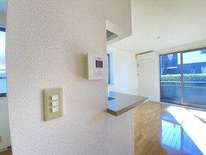 サザンコートＤ 101号-13