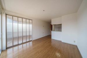 ディアス・パシアンＢ 201号-2