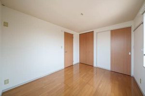 ディアス・パシアンＢ 201号-10