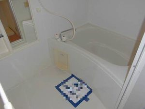 シャーメゾン・ネージュ 101号-4