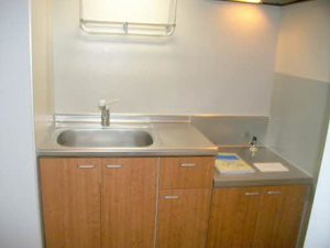 広瀬川ハイムB 203号-3