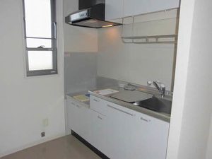 グレイスたけくま 203号-3