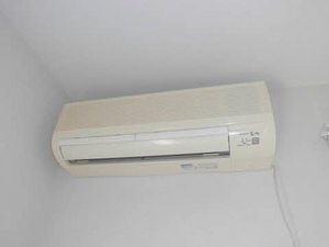 グレイスたけくま 203号-12