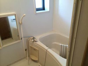 ピュアソウル若葉 203号-5