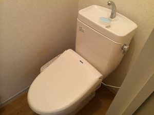 ピュアソウル若葉 203号-6