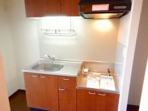 エルミタージュ 102号-4