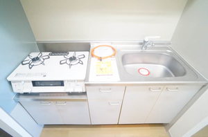 リブシャーメゾン 205号-5