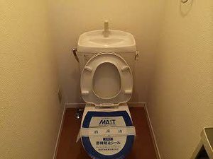 ベルデ・アルカディアE 101号-11