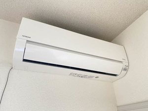 アライ 101号-12