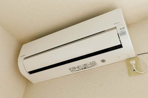 メゾン・フリージア 103号-10