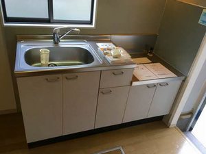 サザン ウィルⅠ 103号-3