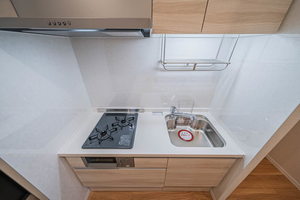 レジデンスＲＯ 203号-3