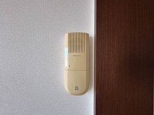 ラフィネ 101号-10