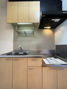 グリーンポポⅡ 201号-5