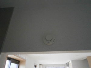 ファミーユサシンⅤ 101号-8