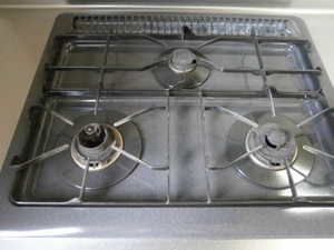 ファミーユサシンⅤ 101号-13