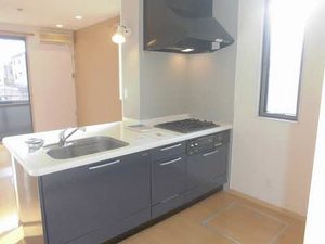 ピュアタウンA 102号-6
