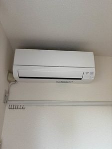 Ｍ’ｓビーグル 202号-11