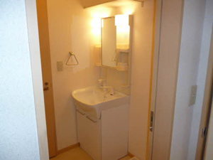 シャーメゾン泉沢 203号-3