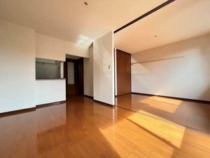 ディアスシラトリ 103号-2