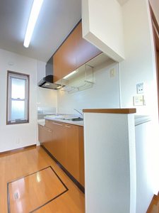 ＤＩＳＣＵＳ　Ｆ－１ 101号-4