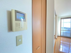 ＤＩＳＣＵＳ　Ｆ－１ 101号-14