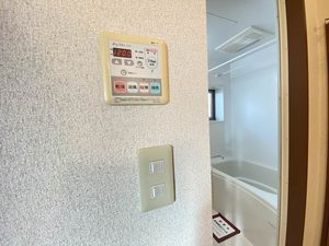 ＤＩＳＣＵＳ　Ｆ－１ 101号-15