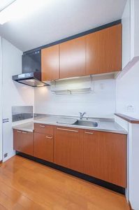 ＤＩＳＣＵＳ　Ｆ－２ 202号-4