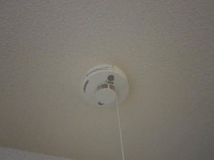 パステルコート 成田H 202号-8