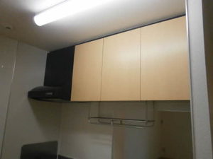 パステルコート 成田H 202号-10