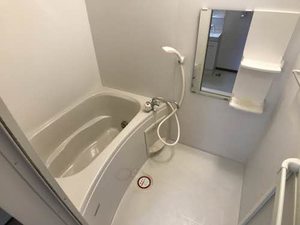 シャロームM 202号-6