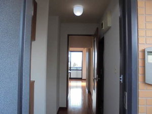 シャロームＭ 203号-3